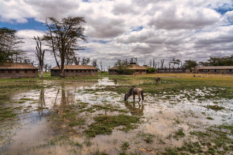 103 Amboseli Nationaal Park.jpg